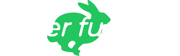 Faster Funding Logo